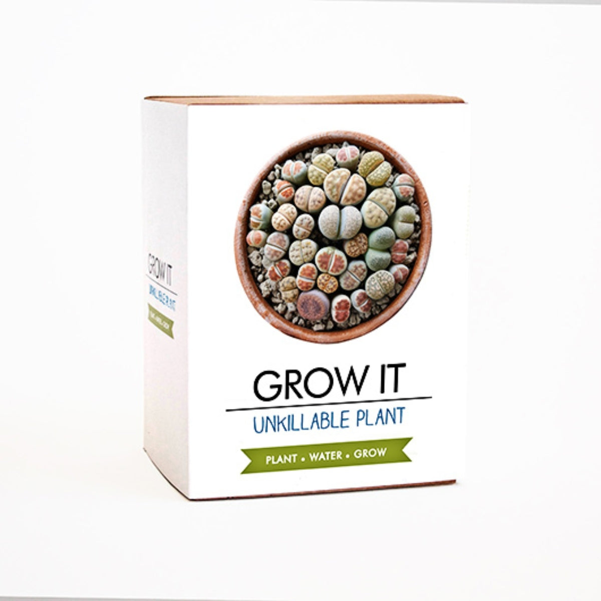 Gift Republic Grow It Unkillable Plant Grow Kit