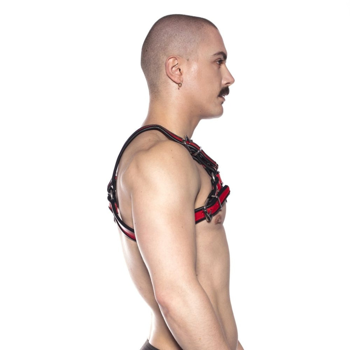 Prowler RED Leather Bull Harness Black Red